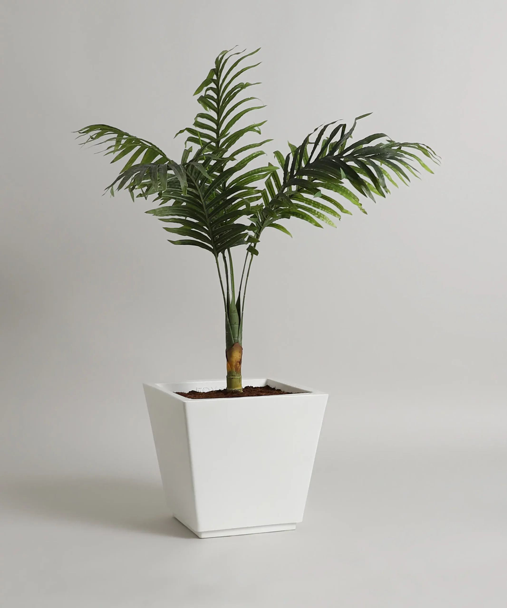 Plant Pots India, Indoor Planters, Outdoor Planters, Planters for Balcony, Planter for Office